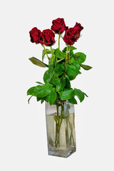 Bouquet of five red roses isolate on a white background.