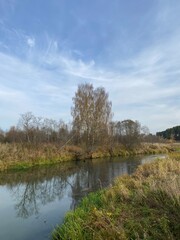 Fototapeta premium lake in the forest