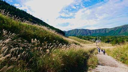 箱根　仙石原　秋のMiscanthus草原
