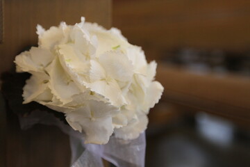 white flower with a bow