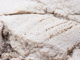 Foamy digestible biomass in a sedimentation tank
