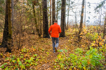 A 61-year-old caucasian man runs through an old autumn pine forest while self-isolating in retirement. Sports motivation at any age concept