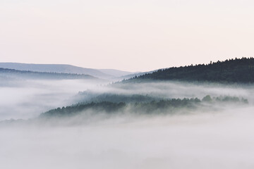 Panoramic view of forest obscured with dense fog. Morning mist in the Beskids, Poland.