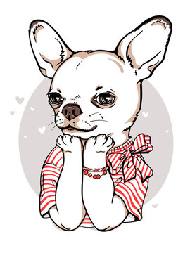 Cute cartoon chihuahua girl in a striped t-shirt. Stylish image for printing on any surface