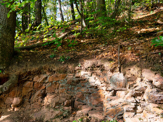Steiniger Wald bei Schriesheim im Rhein-Neckar-Kreis