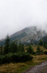 Autumn landscape in the mountains with a fog. Carpathian Mountains, Ukraine.