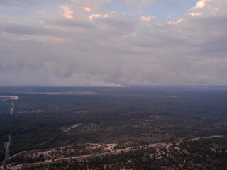 Aerial photo with drone of burnt forest after the fire