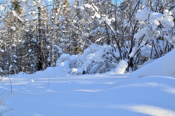 Heavy snowfall in the Siberian forest. Baikal shore near Vydrino village. Russia. January 2020.
