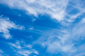 Fototapeta premium White clouds in blue sky.
