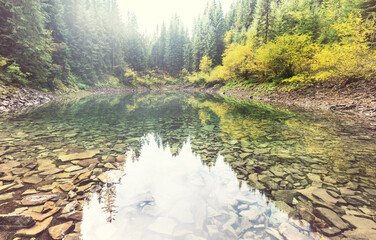 Lake in Carpathian mountains