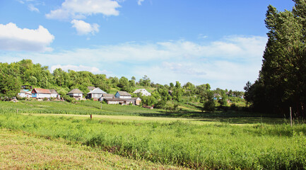 Obraz premium Village panorama spring - spacious green meadow, blue sky with clouds,old style houses. With copy text. Panorama Ukrainian village - meadow and houses in the distance.