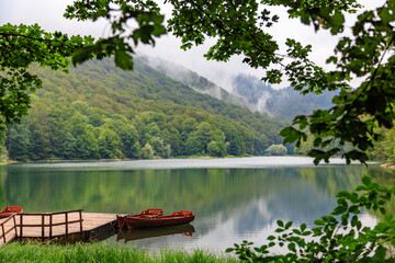 Lake Biograd / Montenegro / Unique National Park Biogradska Gora in summer with boats