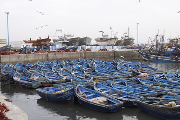 Fototapeta na wymiar fishing boats in the harbour in the early morning