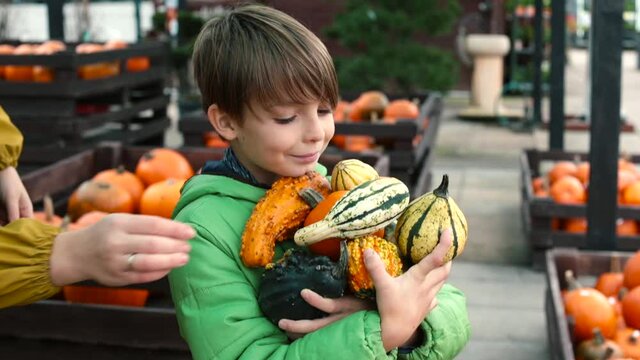 A cheerful boy holds a lot of autumn vegetables in his arms. Mom puts the zucchini in the barn. Assistance in purchasing food products on the market. Against the backdrop of racks in pumpkins.