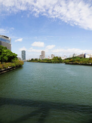 Fototapeta premium 桜宮橋から見る大川沿いの風景