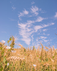 quelque part entre Villeneuve sur lot et le lac du Miallet