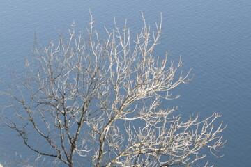 Landschaft, Herbst, Fluss, See, River, Autmn, natur , Himmel,  wilde Natur,  Wasser, Baum, Stimmung, tree, forest, nature, lake, heaven, horizon, romantic, wild nature, 