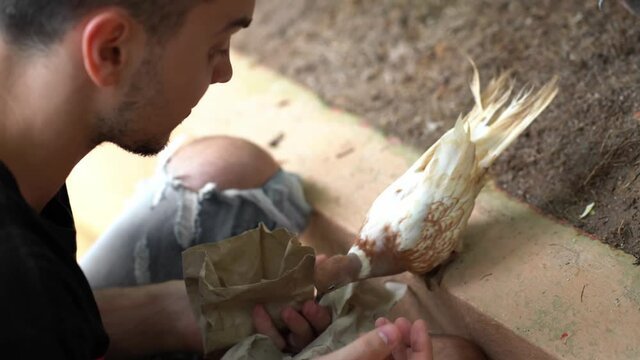 A pigeon takes food from a paper bag from a guy who wanted to feed him