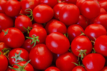 red tomatoes background. Group of tomatoes