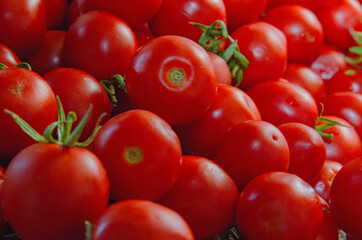 red tomatoes background. Group of tomatoes