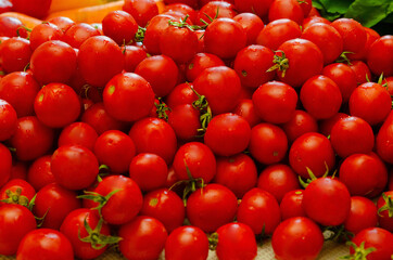 red tomatoes background. Group of tomatoes