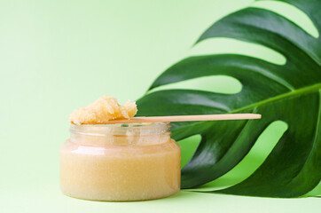 natural herbal cosmetic product for skin care. sugar or salt scrub for face and body in glass jar with monstera leaf on green background, closeup, copy space, place for text.