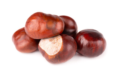 Horse chestnuts fruits, isolated on white background. Aesculus hippocastanum.