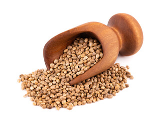 Hemp seeds isolated on white background. Dry seeds of cannabis, hemp or marijuana in wooden scoop.