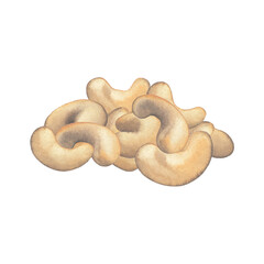 Watercolor bohandful of cashew nuts isolated on the white background