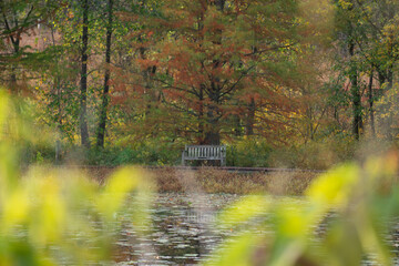 Park Bench in Fall weather