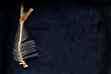 Fish skeleton on a dark background. Space for text