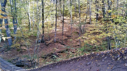 On and Off Trail