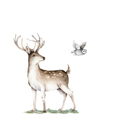 Hand drawn watercolor deer illustration, isolation objects on white background Forest wildlife animal