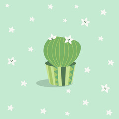 Very cute and pleasant indoor plants - cacti