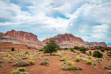 Capitol Reef National Park