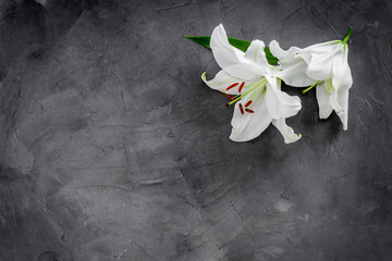 Lily funeral flower on dark stone. Condolence card with copy space