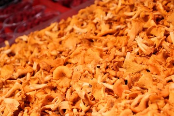 Chanterelles at a market