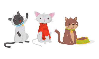 Playful Cats Sitting on Hind Legs and Feeding Vector Set
