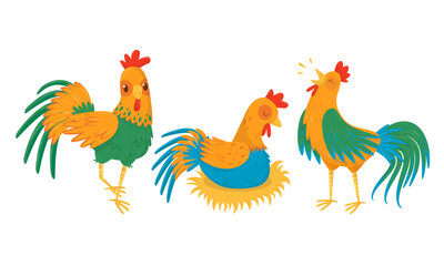Hen Sitting on Eggs and Walking in the Yard Vector Set