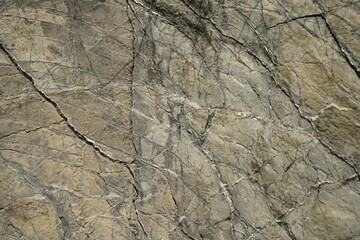 Rock texture. Stone background. Light gray brown grunge background. Cracked stone surface with veins. Macro.