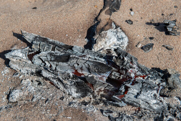 Feu de Bois ST-AYGULF Var (83)