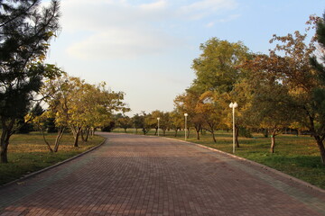 autumn in the park