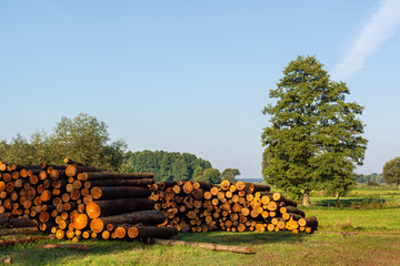 Krajobraz wiejski Podlasia, Polska