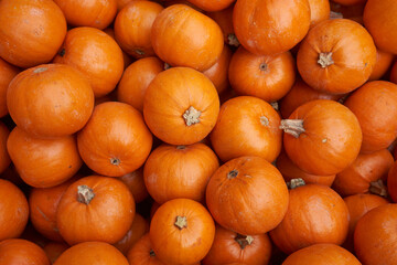 Fresh mini orange pumpkins for sale at market.