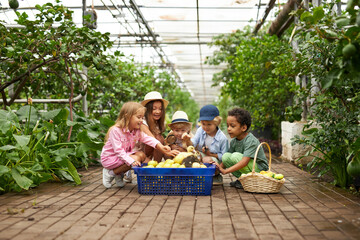 diverse kindergarten children get to know the world around them, the greenhouse is a great place for an excursion, look, learn