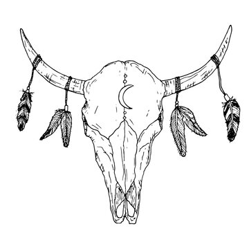 Bull skull with feathers on horns. Boho style. Vector.