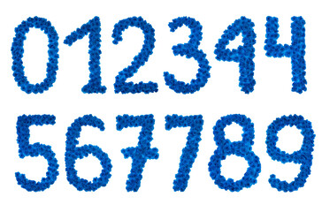 Beautiful numbers from blue festive bright flowers on a white background