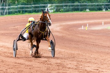 horse racing hippodrome of feurs