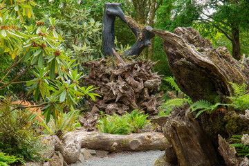Obraz premium Botanical woodland sculptures at rhs rosemoor, devon