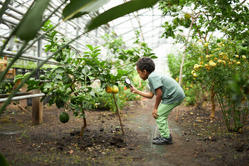little african american kid boy look at plant using magnifier, want to know about nature everything, learn gardening and plants, flowers